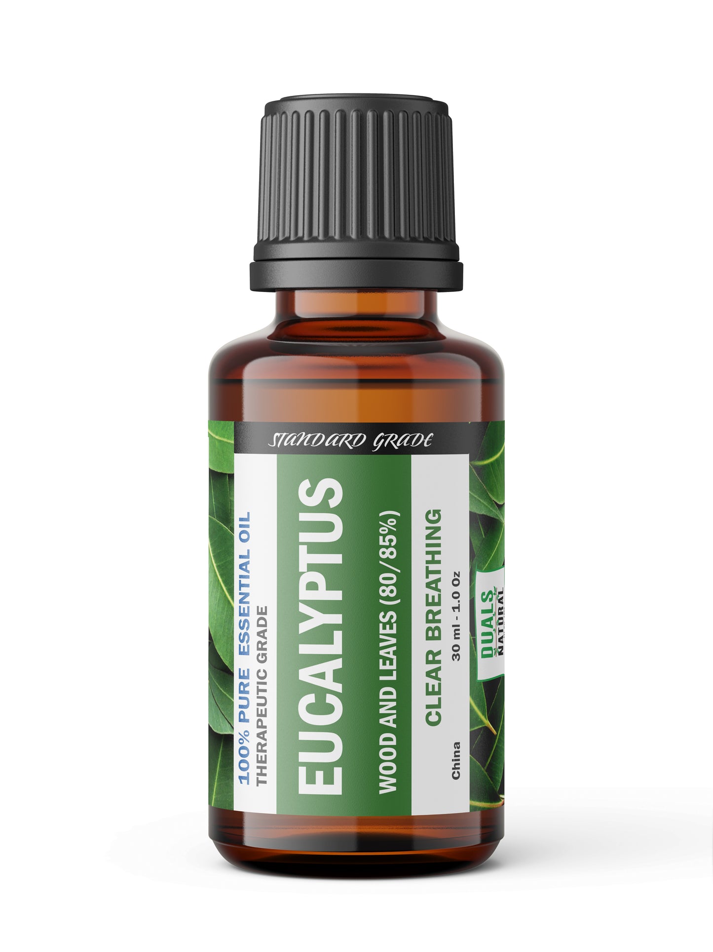 Eucalyptus 80/85% Essential Oil – Crisp, Camphorous Freshness
