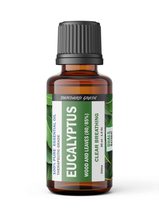 Eucalyptus 80/85% Essential Oil – Crisp, Camphorous Freshness