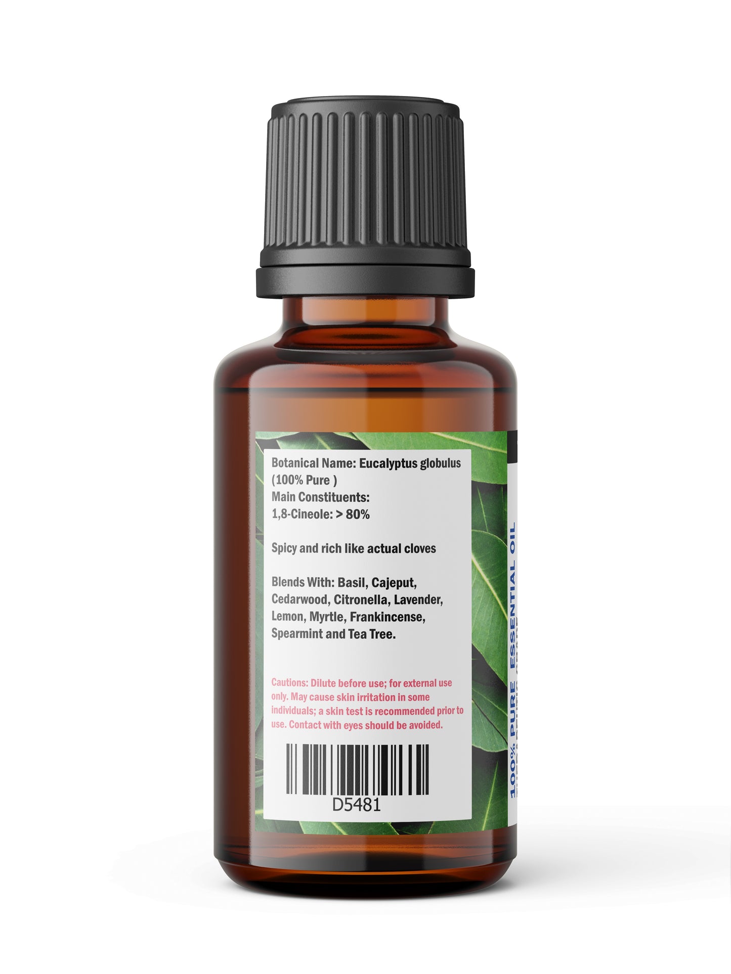 Eucalyptus 80/85% Essential Oil – Crisp, Camphorous Freshness