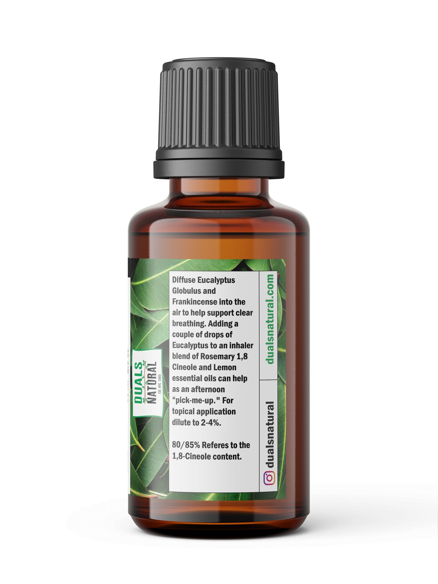 Eucalyptus 80/85% Essential Oil – Crisp, Camphorous Freshness