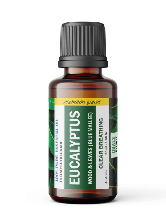 Eucalyptus Blue Mallee Essential Oil – Crisp, Camphorous Freshness