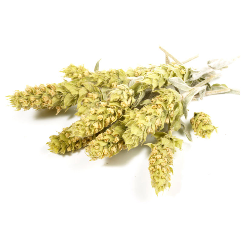 GOLDEN ROD HERB ORG