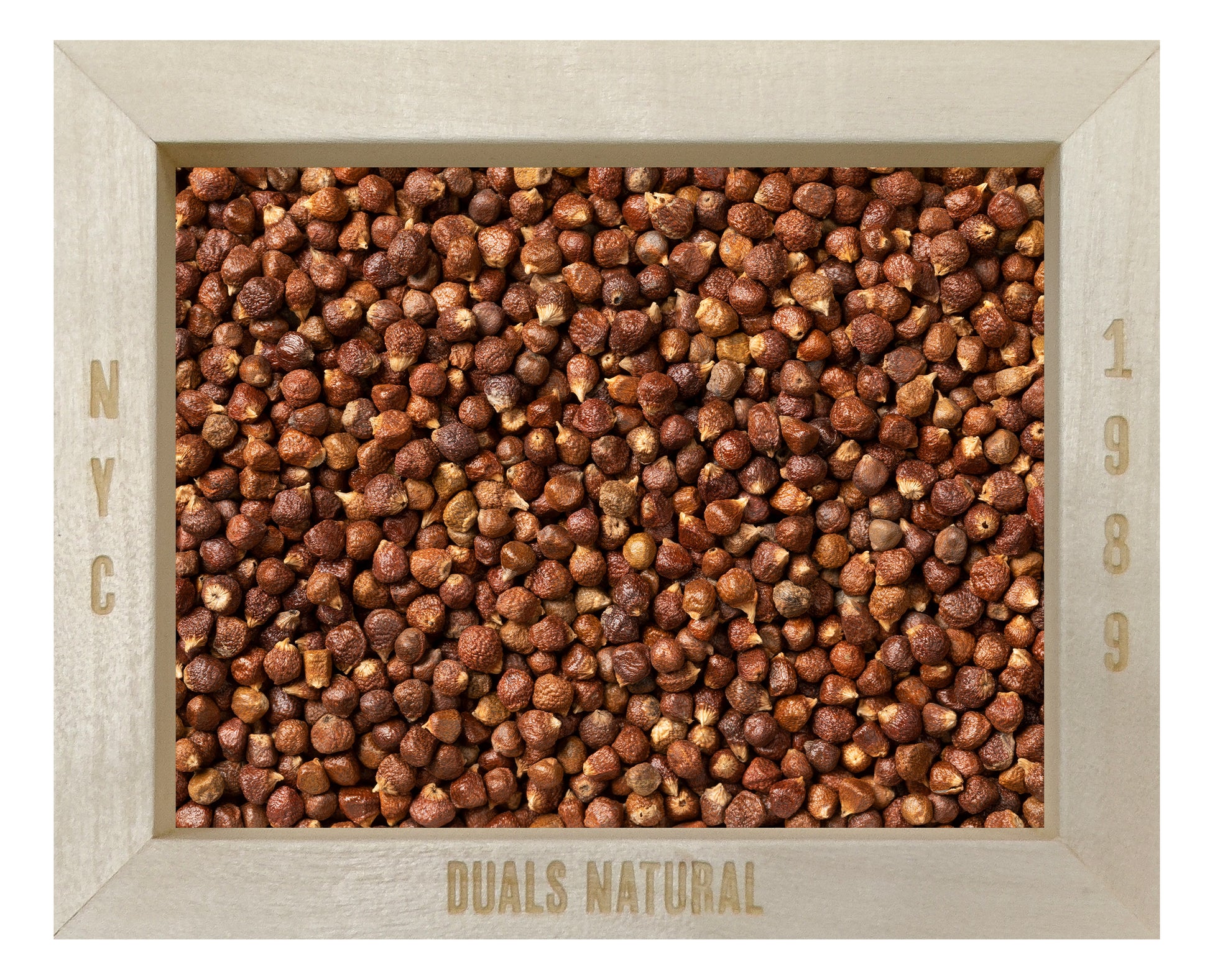 GRAINS OF PARADISE UPDATE