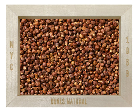 GRAINS OF PARADISE UPDATE