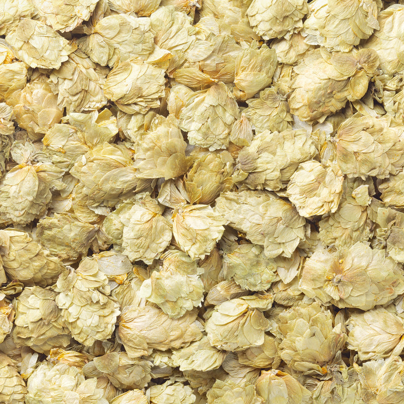 HOPS FLOWER WHOLE