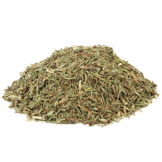 HORSETAIL SHAVEGRASS CUT ORG