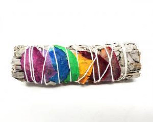 Sage Cali (Mountain) 4 Inch, 1 Ct - 7 Chakra Rose