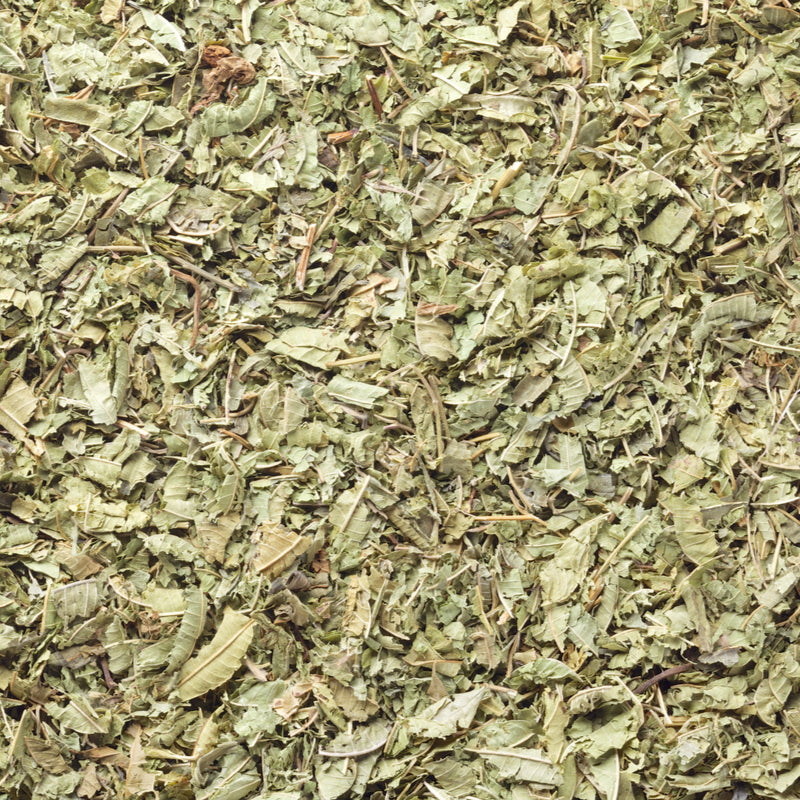 LEMON VERBENA CUT