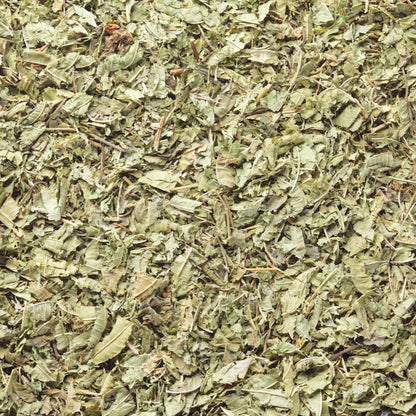 LEMON VERBENA CUT