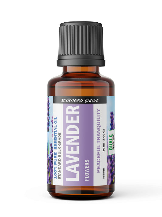 Lavender Essential Oil 40/42 – Classic Balanced Floral