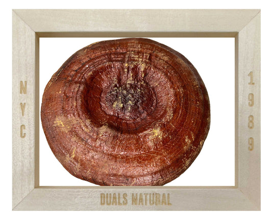 REISHI MUSHROOM WHOLE