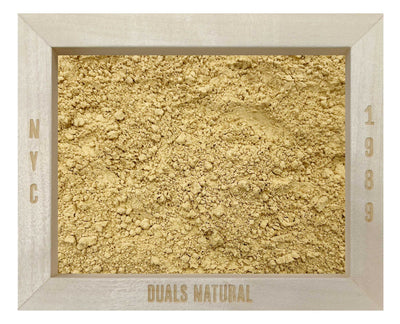 Lion’s Mane Mushroom Extract Powder