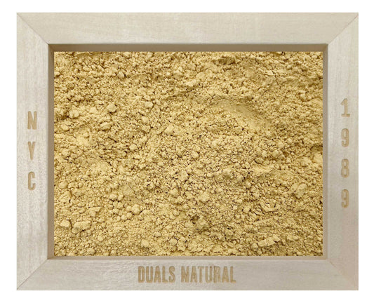 Lion’s Mane Mushroom Extract Powder