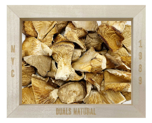 OYSTER MUSHROOMS