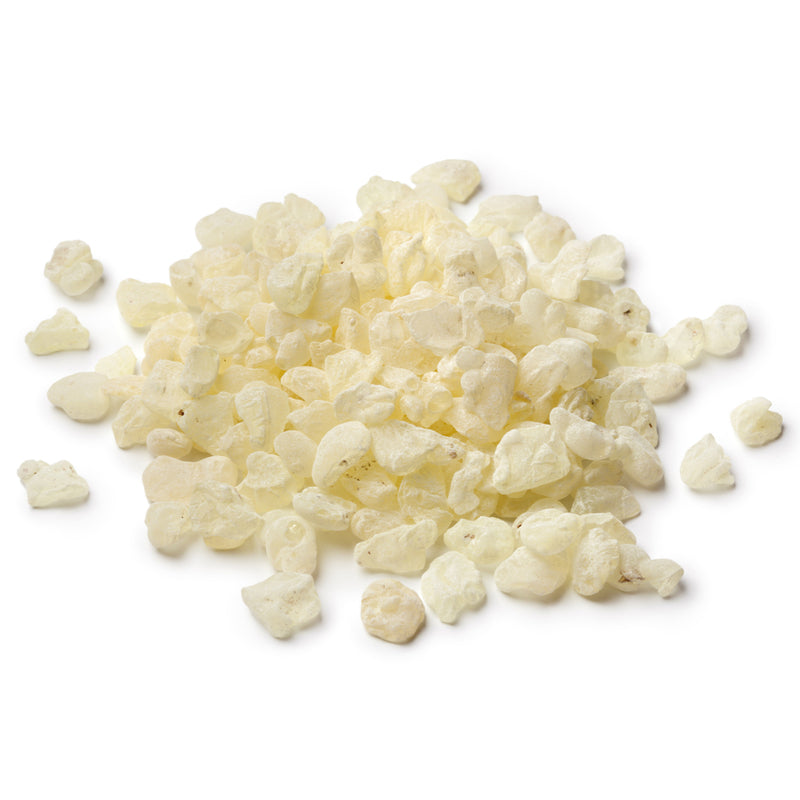 Mastic Gum for Herbal Tea, 9 G