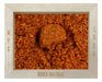 MEXICAN SPICE BLEND