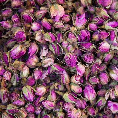 Rose Buds & Petals Pink