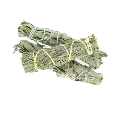 SAGE WHITE MEDIUM