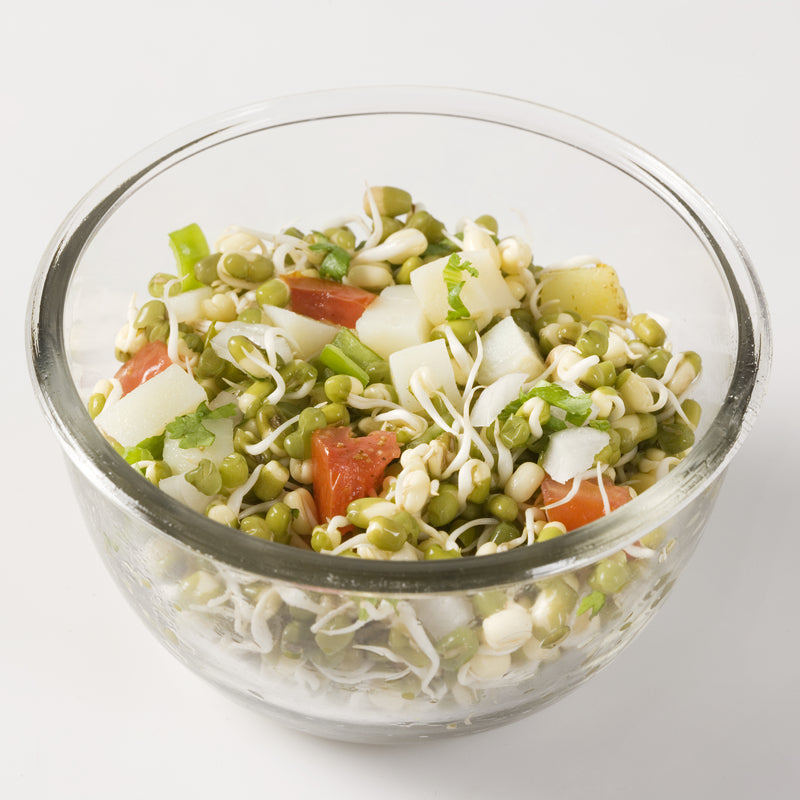 SALAD SPROUTING SEED