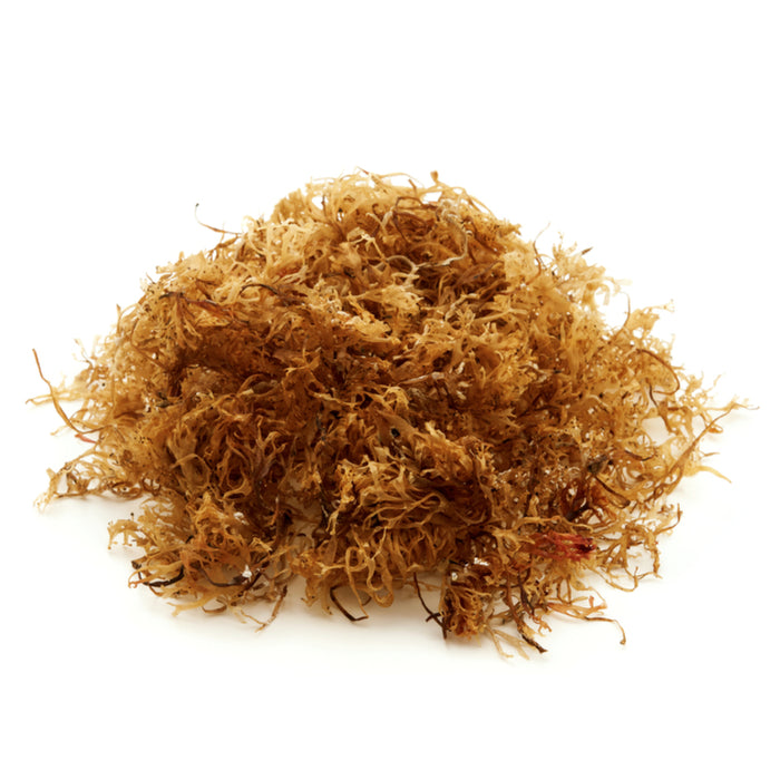 SEA MOSS WILDCRAFTED