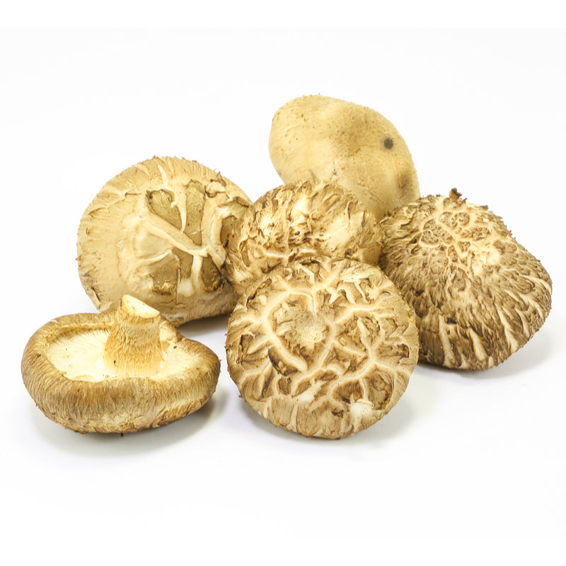 SHIITAKE MUSHROOM WHOLE ORG