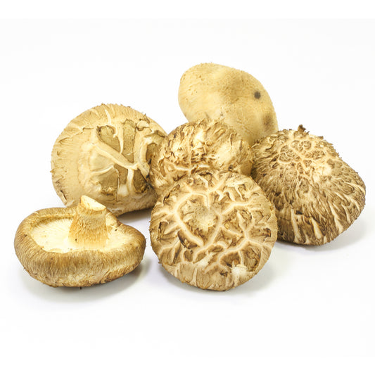 SHIITAKE MUSHROOM WHOLE ORG
