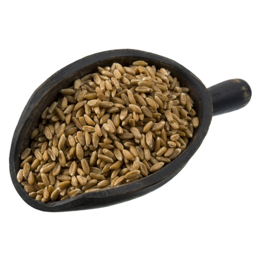 SPELT BERRIES HULLED ORG