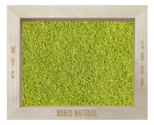 WHEAT GRASS POWDER ORG 